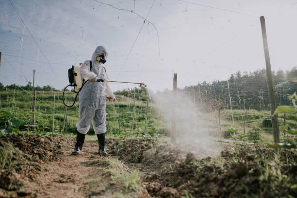 Best Best Pest Control Companies  in Brewster, OH
