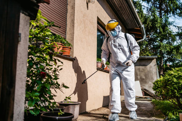 Best Cockroach Control Services  in Brewster, OH