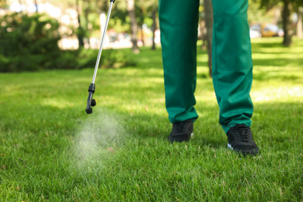 Best Flea Control Services  in Brewster, OH