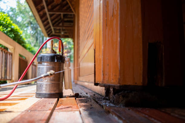 Best Pest Removal Services  in Brewster, OH