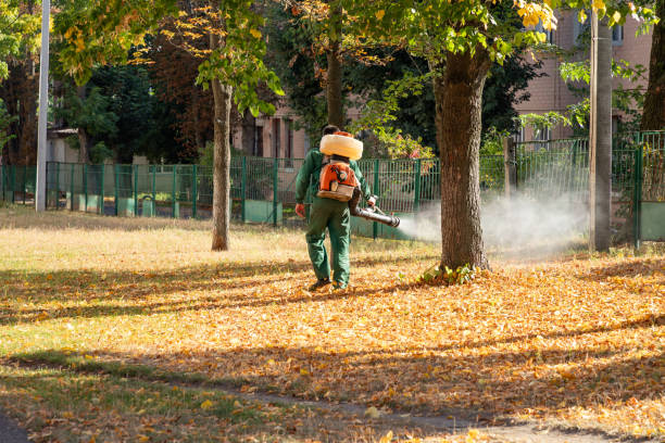 Best Termite Control Services  in Brewster, OH