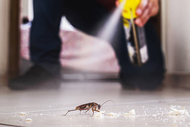 Pest Control for Restaurants in Brewster, OH