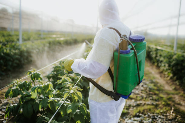 Best Ant Control Services  in Brewster, OH